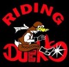 Ducks_Highlander