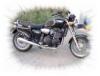 Ostseebiker