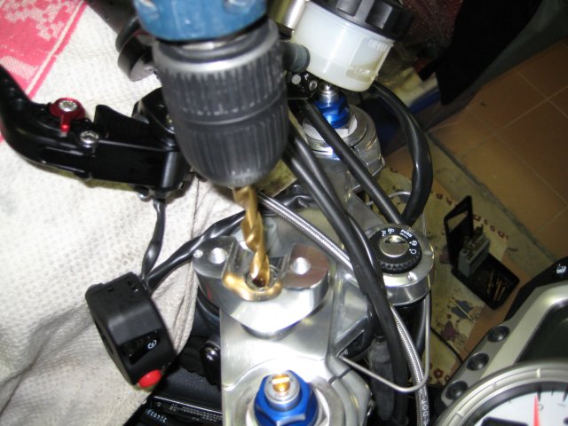 gallery_11135_1559_51296.jpg