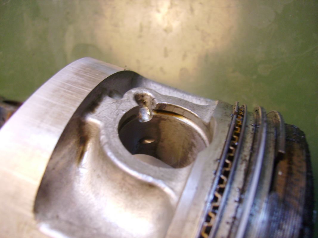 gallery_4532_967_475000.jpg