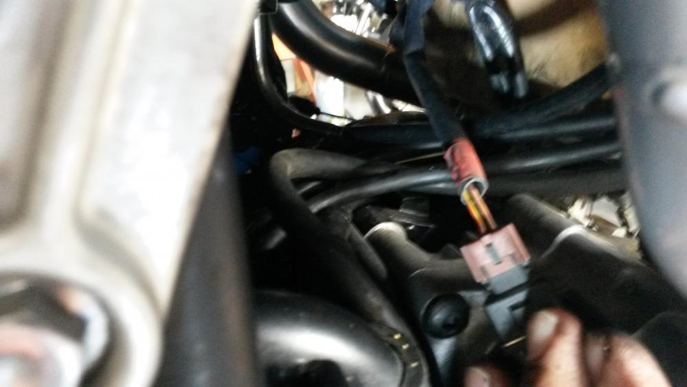 triumph-stecker.jpg