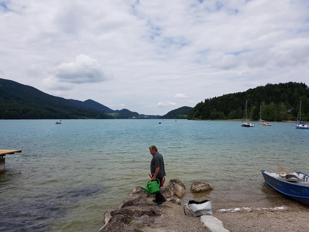20180601_122026.thumb.jpg.f1cea111838d393f5840cac734bb2980.jpg
