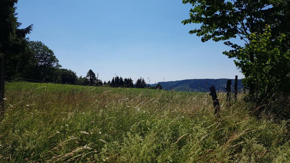 IMG-20180629-WA0012.thumb.jpeg.53f9467be194530a482e80a7cb511985.jpeg
