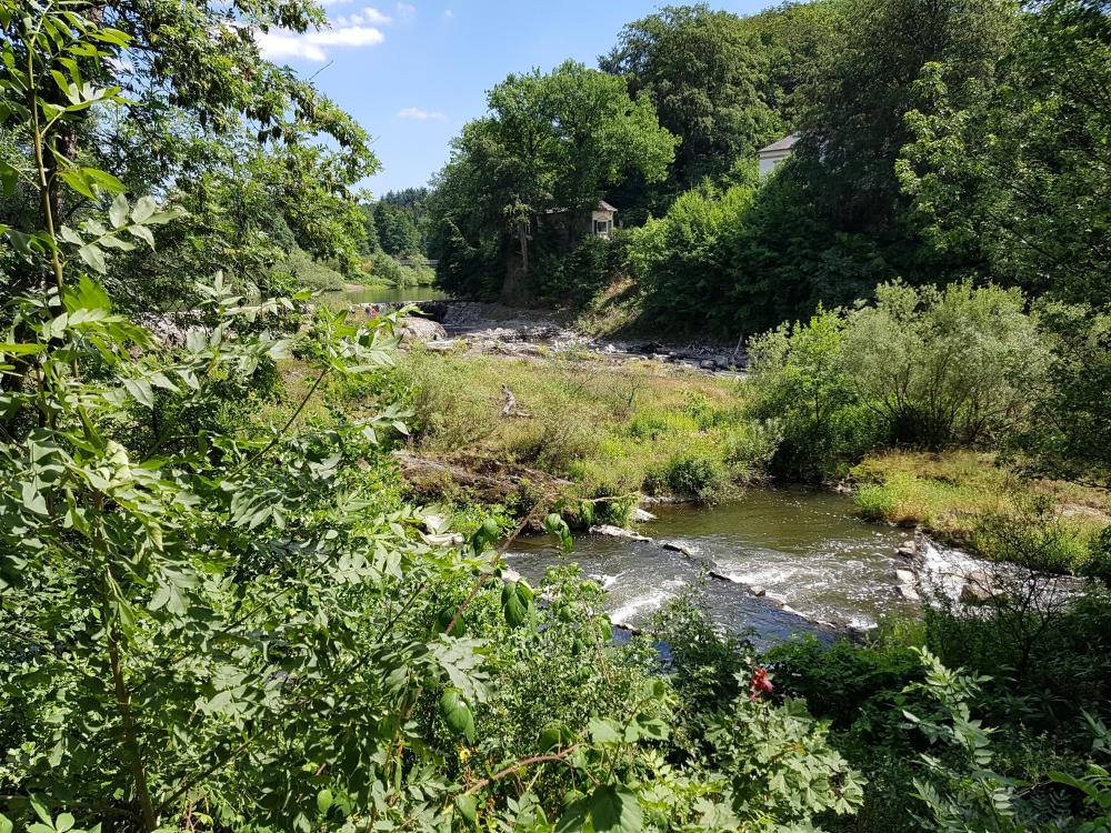 20180630_142051.thumb.jpg.1c683a3796b9e7b74257e7820b8842e7.jpg