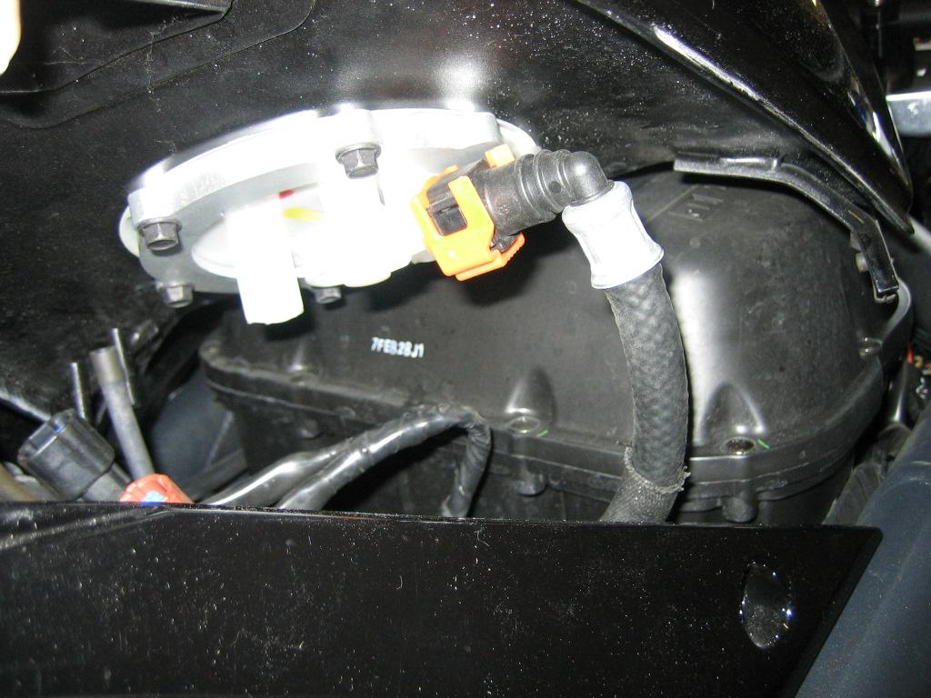 Set Inspektion für Triumph Sprint 955 Daytona Triple Öl 4L Ölfilter  Zündkerzen