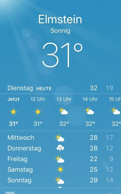 PHOTO-2018-08-07-11-52-03.thumb.jpg.3035c857af16a5de2779fcb4bb037acb.jpg