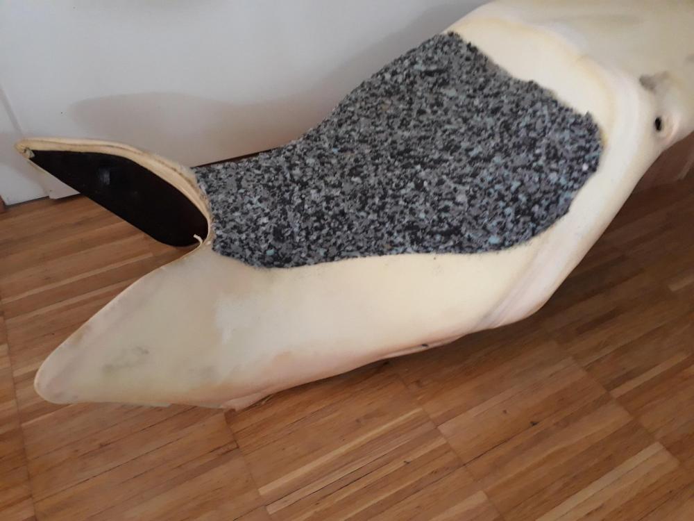 20190307_094909.jpg
