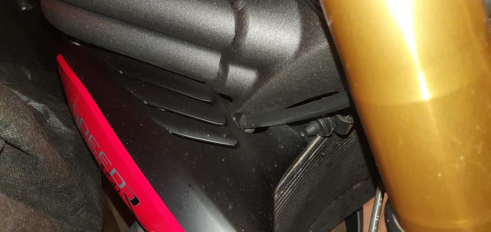 20201231_170932.jpg
