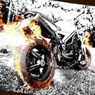 Speedianer