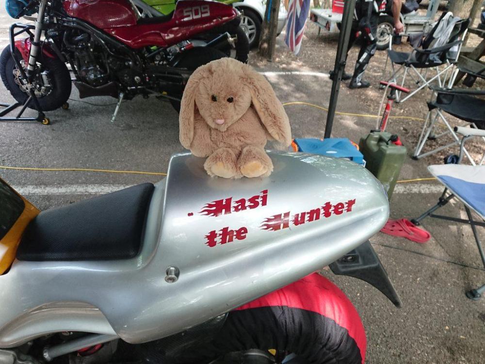 HasitheHunter.jpg