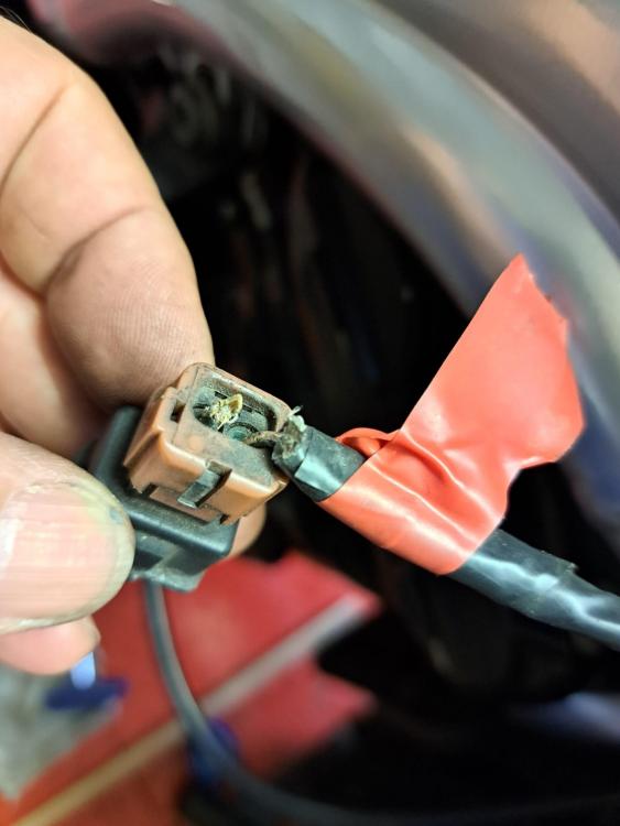 Stecker.jpg
