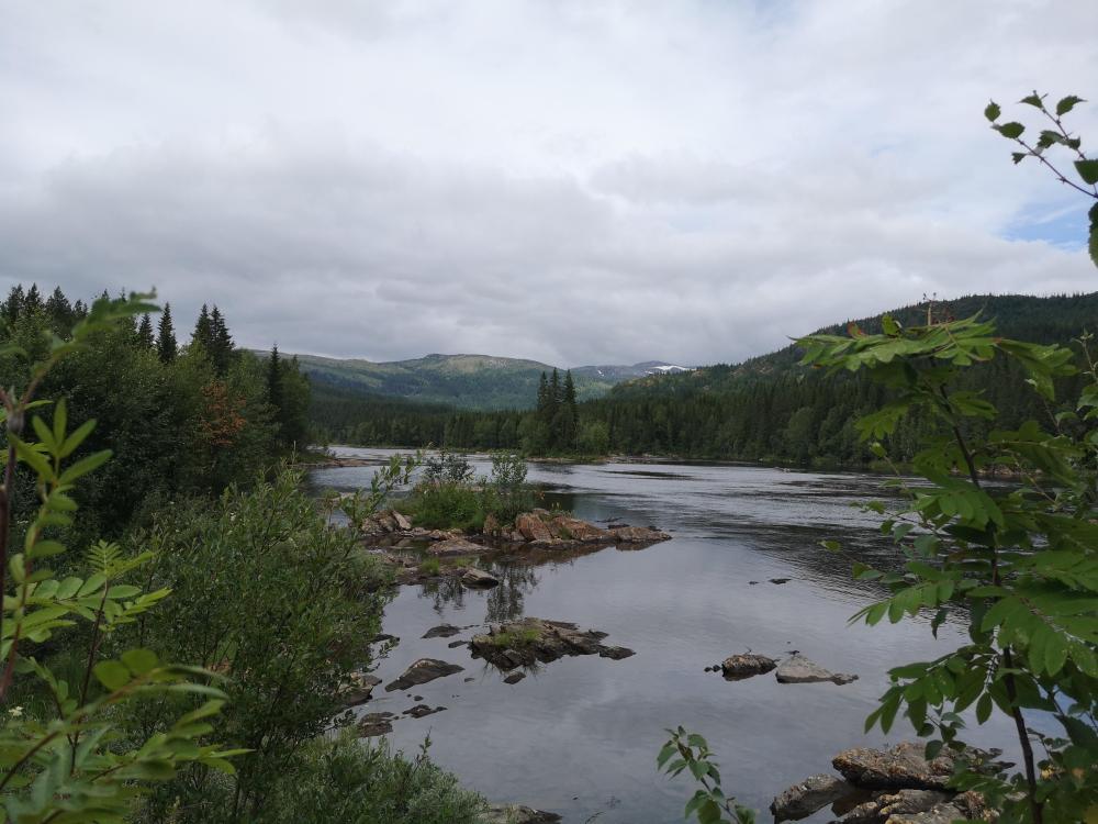 IMG_20250728_133600.jpg
