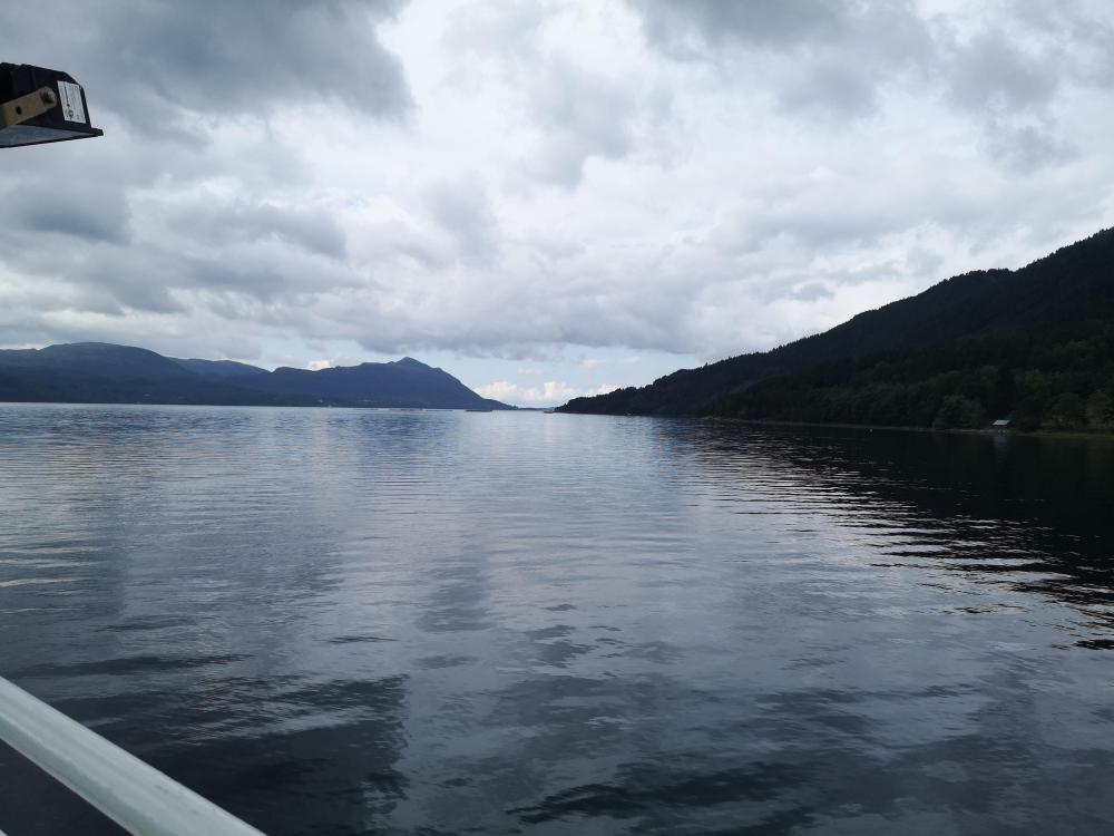 IMG_20250729_150044.jpg