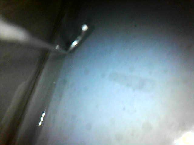 IMG-20251022-WA0026.jpg.1dbe7f8a3a8925d074fd1f46dbe7b370.jpg