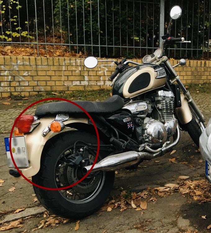 Triumph Thunderbird 900 Kotflügel.JPG