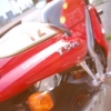DavidT595