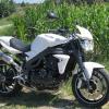 Thorsten81