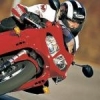 Triumph25