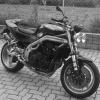 Raven13